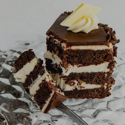 Slice of layered chocolate cake with cream filling